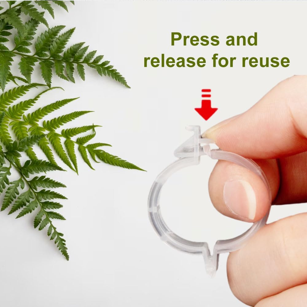 2024 New Secured Plastic Plant Clip, Upgraded Plant Support Clips Reusable Garden Clips 50Pcs, Plant Support Clips Garden Climbing Vines Fixing Clip Trellis — image 6