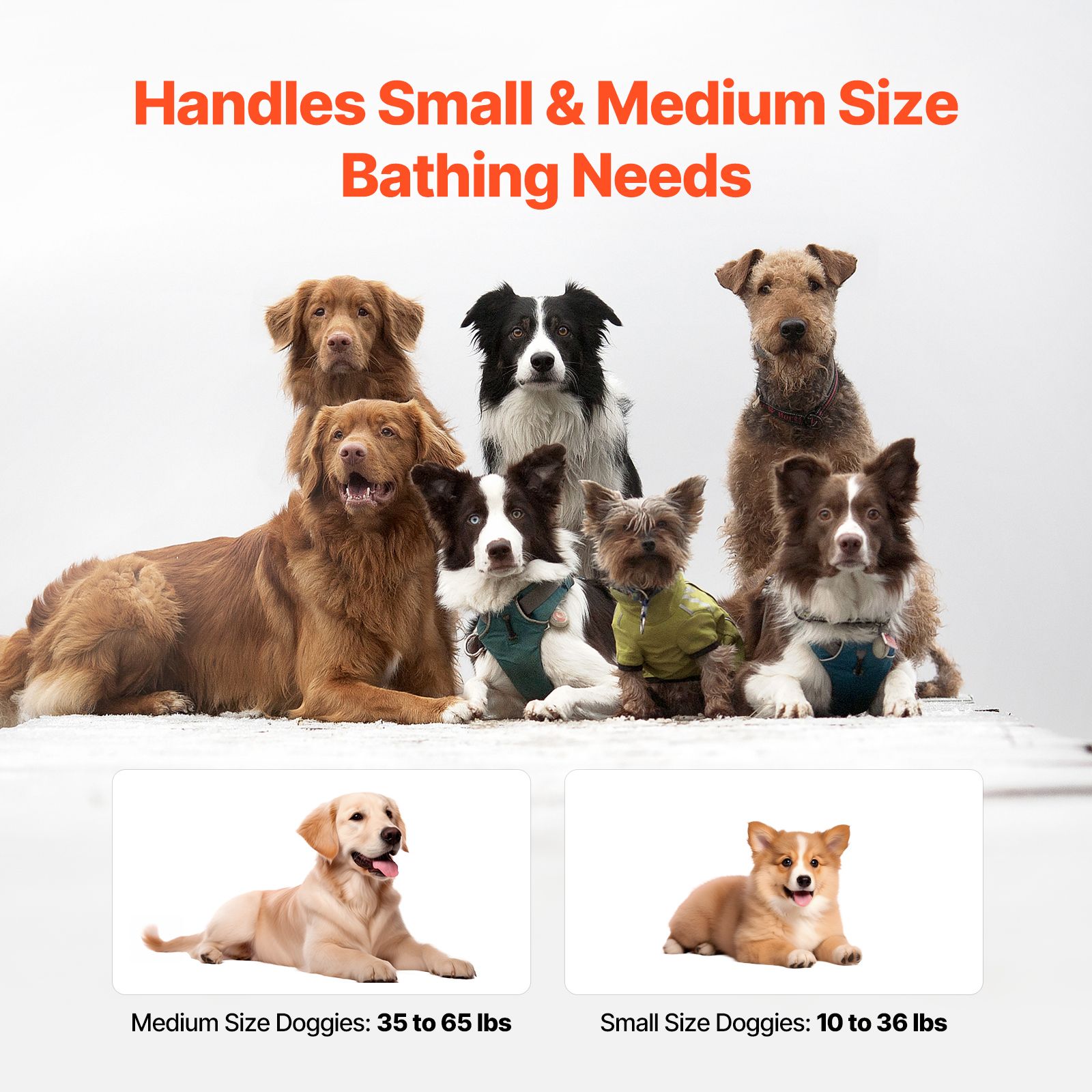 Portable Dog Bathtub, Elevated & Foldable Space-saving Pet Shower Station with Efficient Drainage, Bathing Tub for Washing & Grooming Small and Medium Size — image 6