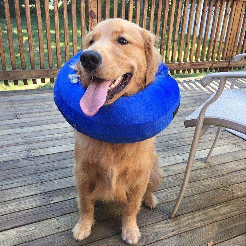 Grey Pet Dog Inflatable Soft Healing Collar Cone Wound Medical Cat Protective Jackets - S (22 × 23CM) — image 6