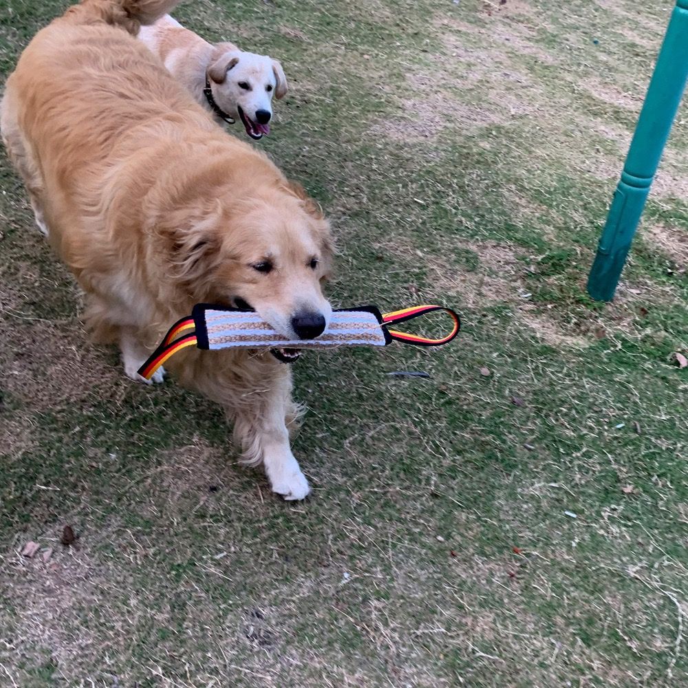 Interactive Tug-of-War Rope Toy for Dogs – Durable Natural Jute Bite Stick with Soft Handles, Fetch, Obedience Training, and Multi-Dog Play — image 6