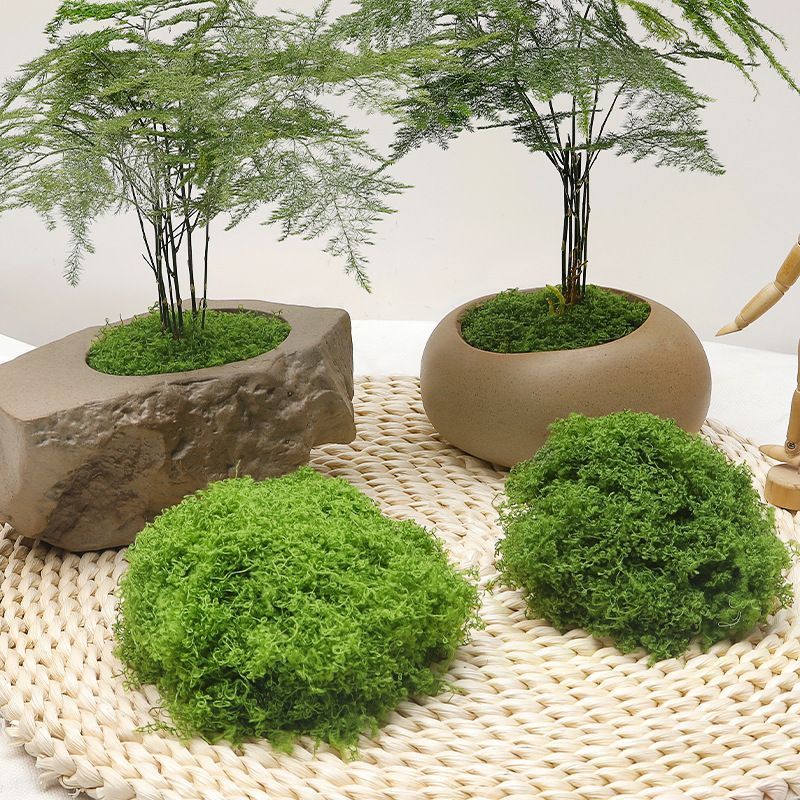 diy artificial moss lawn-Dark Green Filamentous Moss 200g