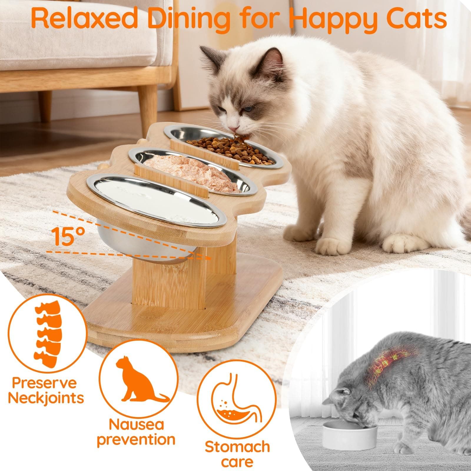 Elevated Cat Bowl Set with 3 Stainless Steel Bowls and 15° Angled Stand, Ideal for Indoor Cats and Small Dogs to Promote Healthy Eating and Digestion — image 3