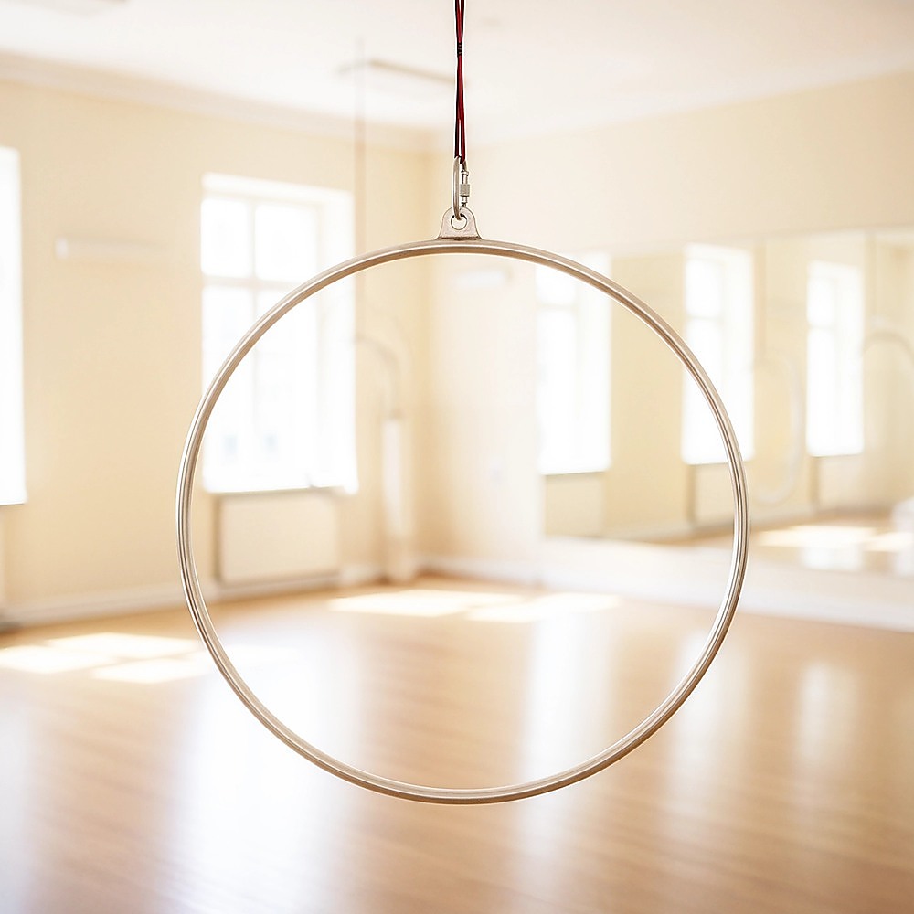 Aerial Yoga Hoop 90CM Lyra Hoop Circus Single Point Aerial Ring Set — image 2