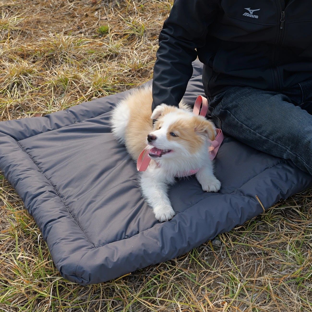 High-Quality Pet Portable Moisture-Proof Mattress, 120 × 80cm Large Size, Foldable for Storage, Wear-Resistant and Waterproof, All-Season Use, Suitable for — image 5