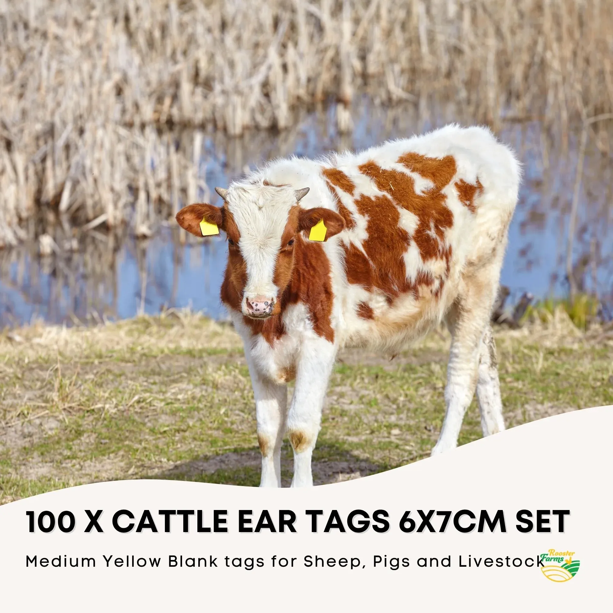 Rooster Farms 100x Cattle Ear Tags 6x7cm Livestock Set - Blank Yellow — image 2