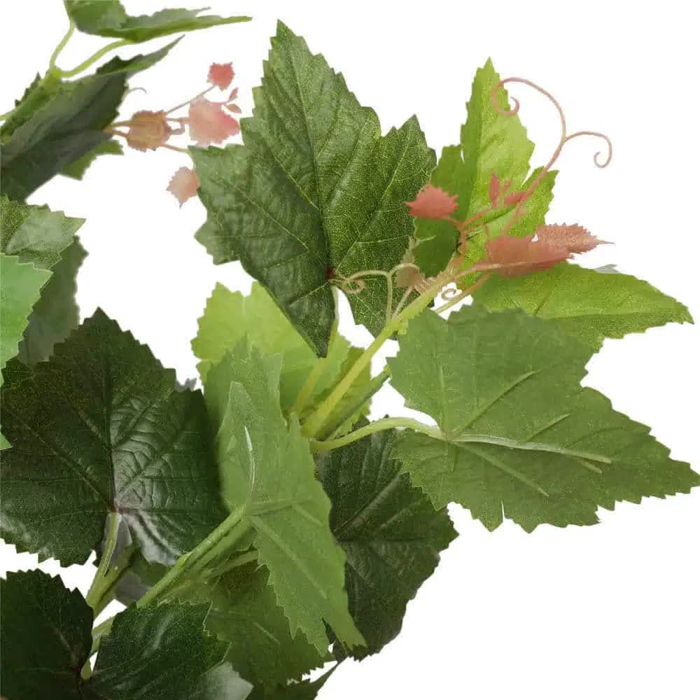 Artificial Potted Grape Vine Tree 70cm โ image 4