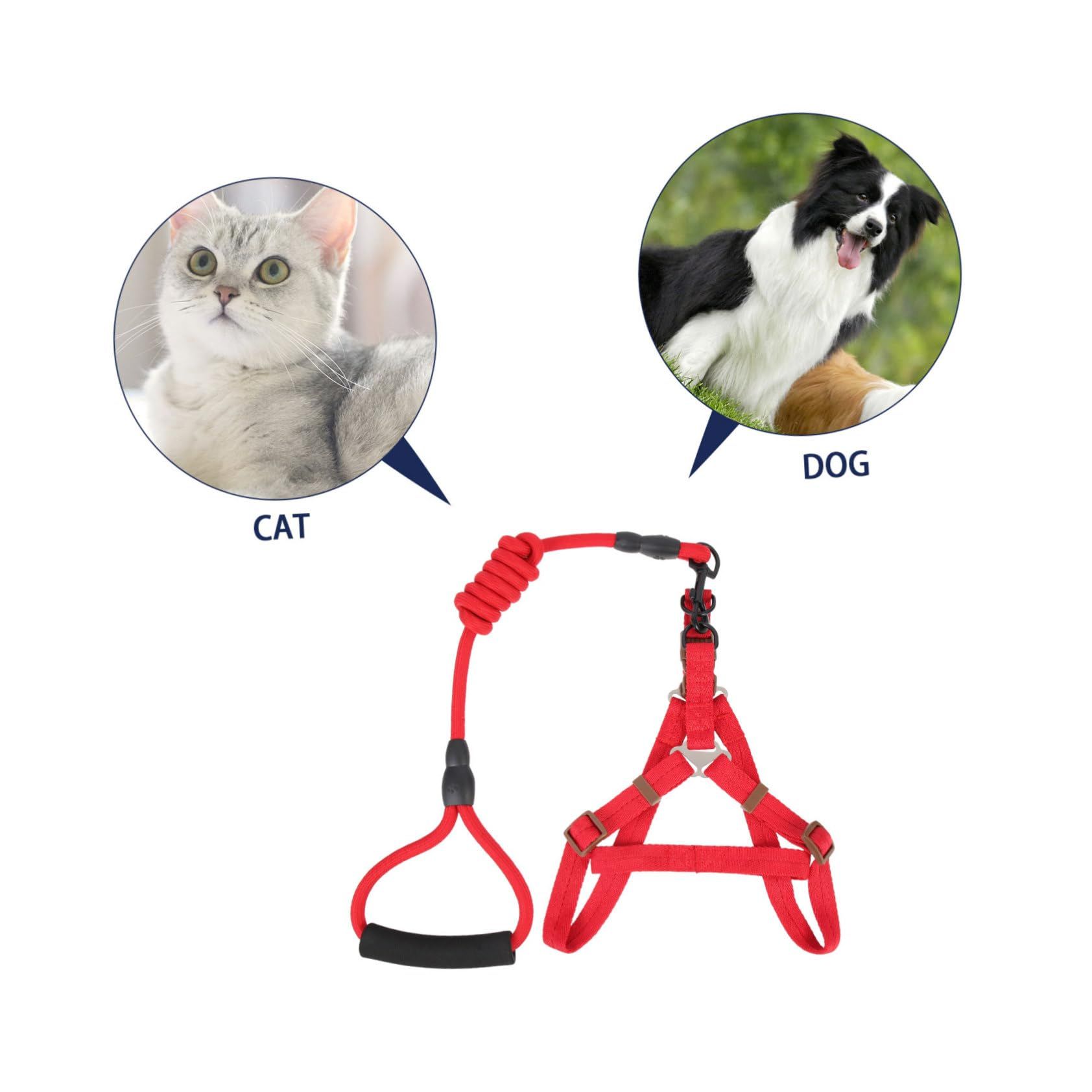 1 Set Pet Leash Dog Walking Leash Kit Puppy Vest Leash Small Dog Harness Puppy Vest Rope Kit Pet Walking Supplies Dog Harness — image 4