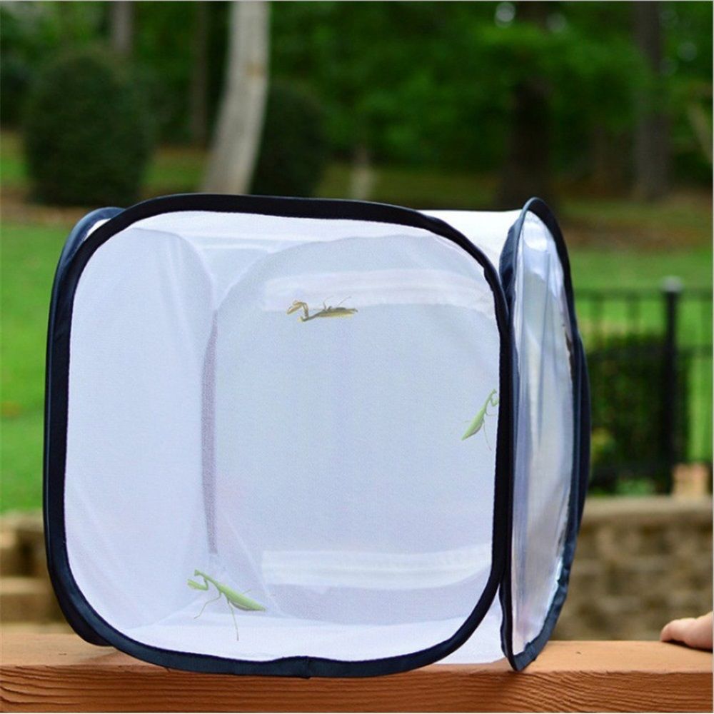 Butterfly Habitat,Outdoor Foldable Butterfly Cage Habitat Fine Mesh Stops - Mesh Panels for Air - Clear Window Panel for Easy Viewing โ image 3