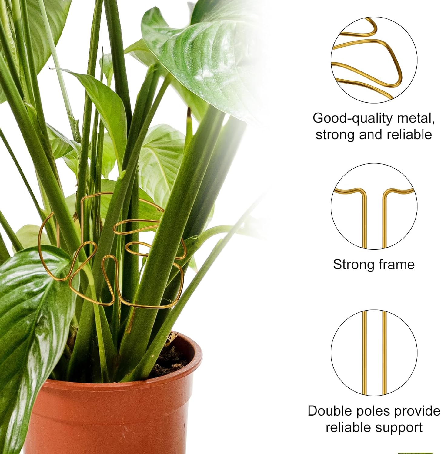 2 Pack Gold Plant Supports Indoor Outdoor Plant Stakes Clips Plant Stand for Plant Support — image 5