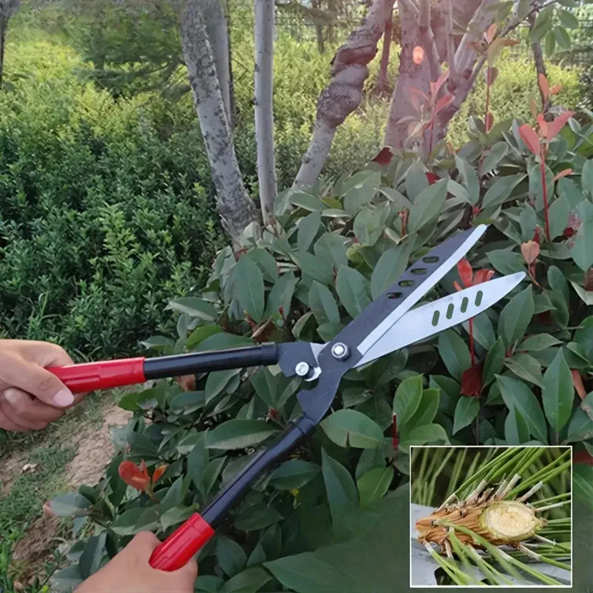 Garden Hedge Shears Pruning Branches Heavy Duty Sharp Blades Gardening Tool — image 5
