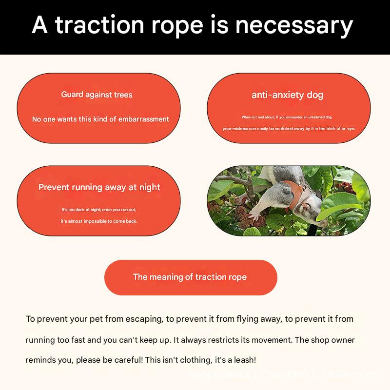 2-Pack dark brown Small Mammal Harness Set – 6 Pcs (S/M/L ×2) + 2 × 1.5m Leashes for Secure Outdoor Handling — image 2