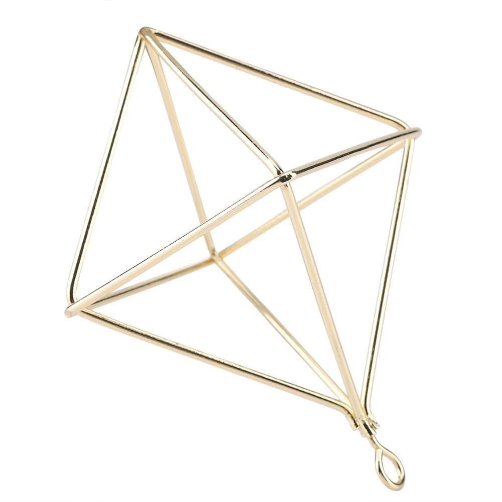 Geometric Air Pants Holder Fashionable Flowers Bromeliads Hanging Rack Home Decor Gold — image 5