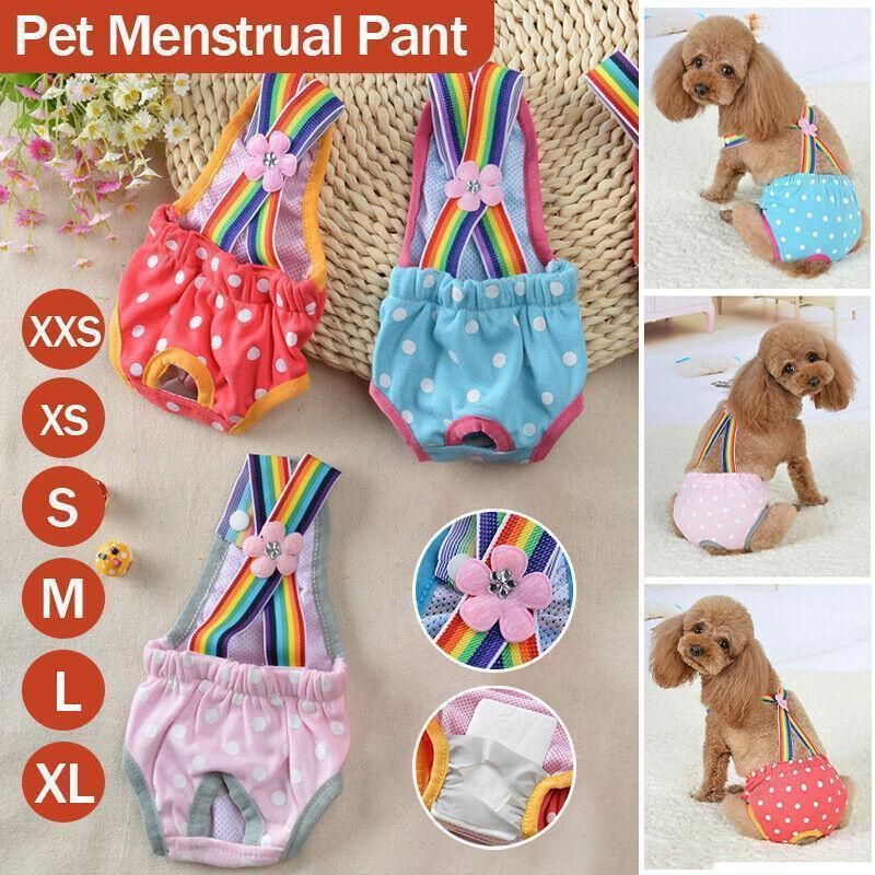 Female Pet Dog Cat Puppy Pant Menstrual Sanitary Nappy Diaper Wrap Underwear Blue - L — image 2