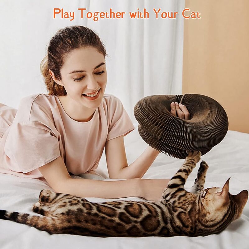 Magic Organ Interactive Scratching Toy - The Ultimate Interactive Mental And Physical Exercise For Indoor Cats โ image 4