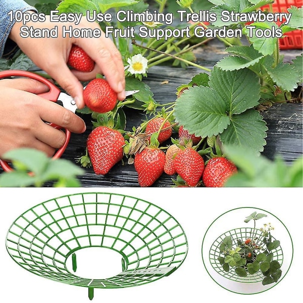 10 pcs Strawberry Plant Support Cages Climbing Rack Strawberry Rack Frame Holder Balcony Planting Rack Fruit Support Garden — image 2