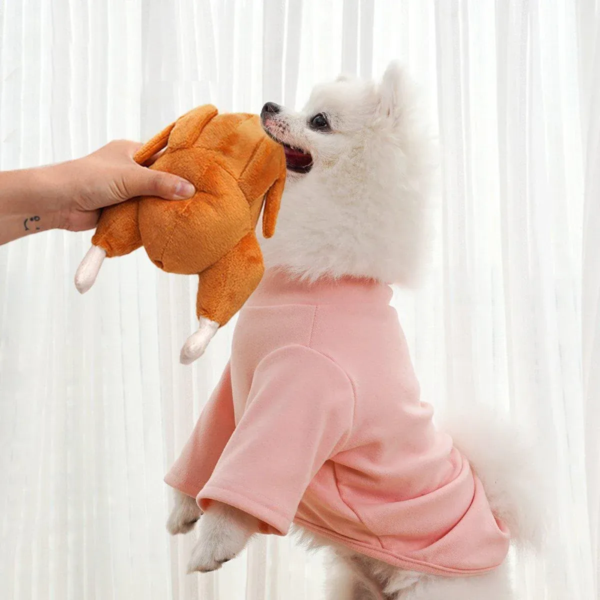 Plush Roast Chicken Dog Toy Squeaky Sound Stuffed Interactive Pet Plaything — image 6