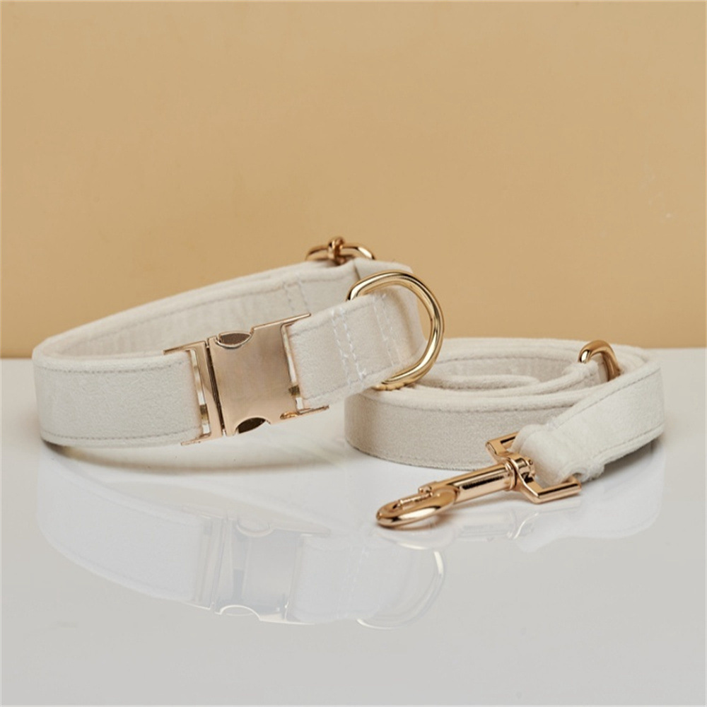 M Beige Luxury Velvet Pet Collar & Leash Set - Engravable Dog Collar with Gold Hardware