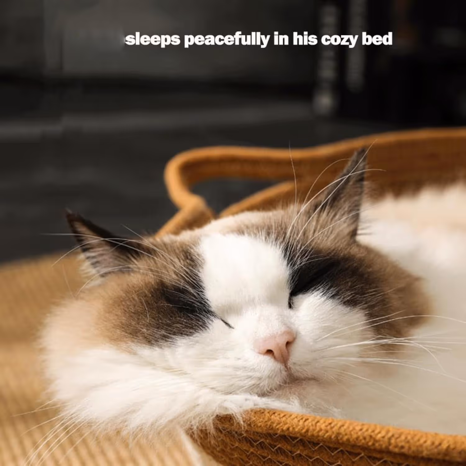 Cat Bed Rope Cotton, Cotton Rope Woven Round Cat Beds Basket with Built-in Teasing Ball, Handwoven Foldable Scratchable for Small & Large pet Brown(L) — image 2