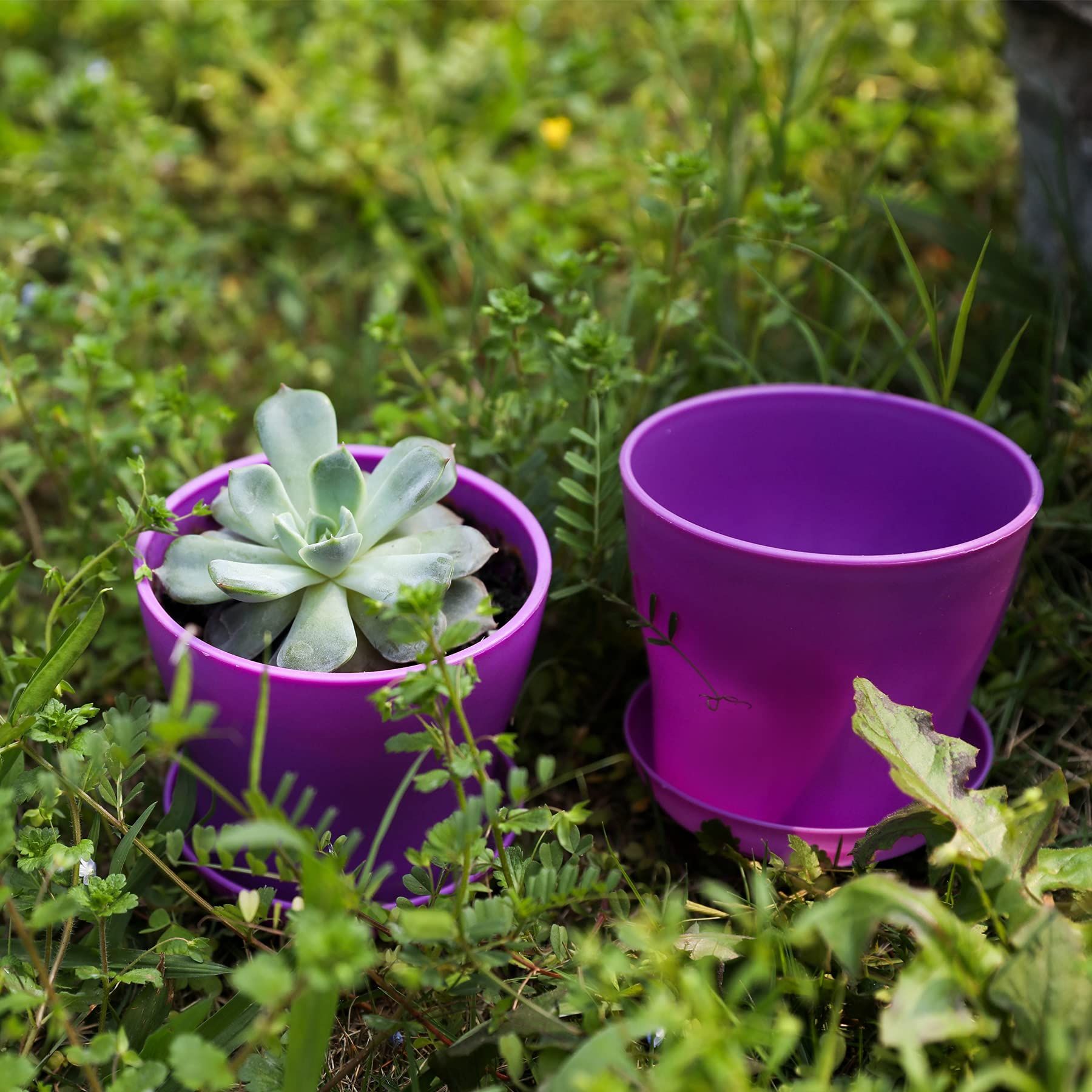 2Pcs Flower Pot with Saucer and Drainage Holes Garden Flower Pot Plant Container for Indoor Outdoor Decoration Purple โ image 3