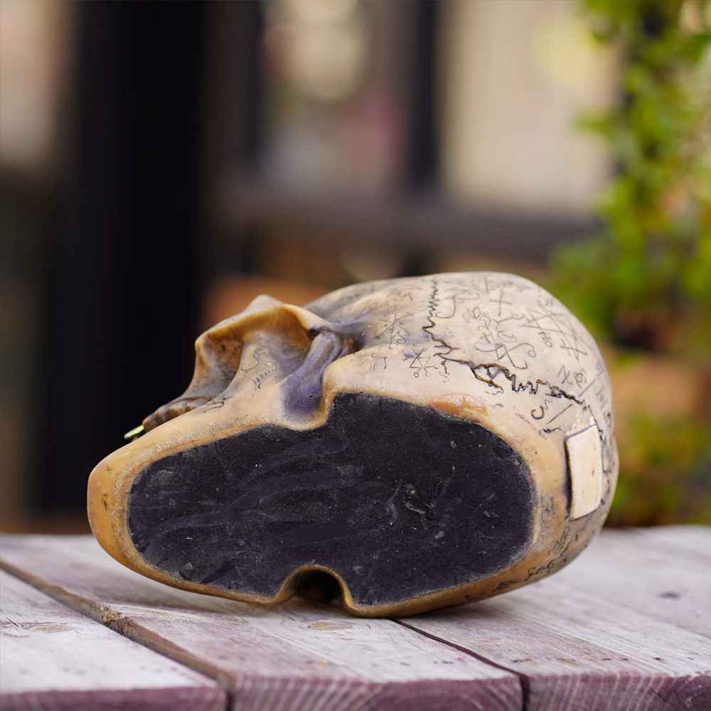 Mystic Runic Skull Statue with Gold Fang - Hand-Painted Resin Figurine for Gothic & Halloween Decor — image 3
