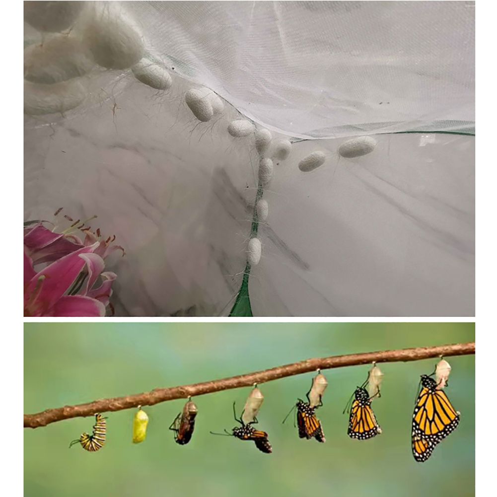 Portable Insect Butterfly Habitat Cage Insect Housing Enclosure Breeding Cage โ image 2