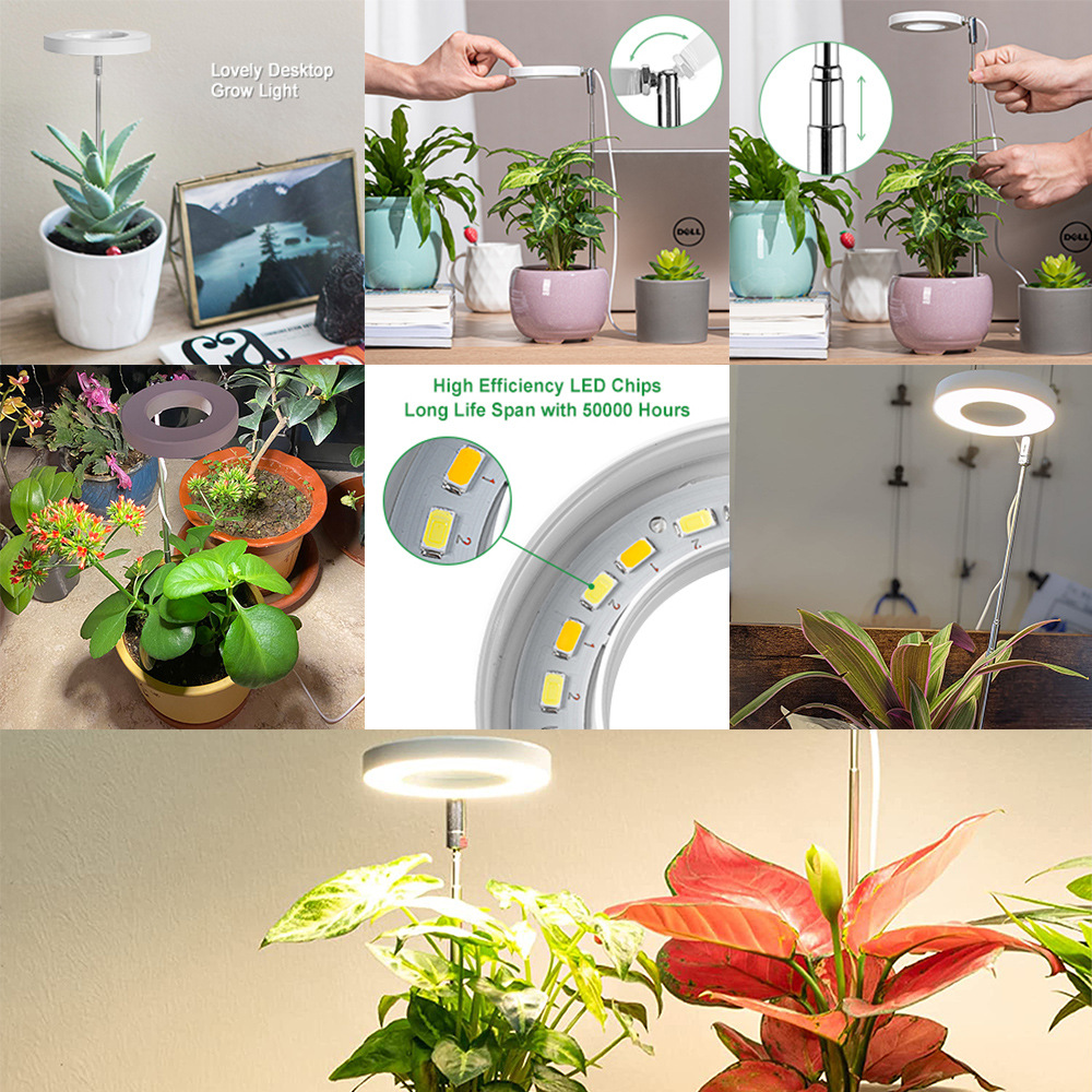 White Full Spectrum LED Grow Light with Telescopic Stake for Indoor Plants โ image 3