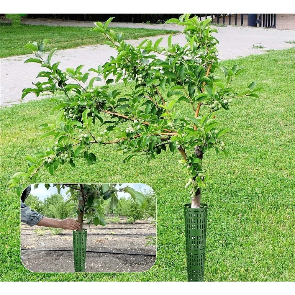 8 PCS plastic Tree Trunk Protector,Resizable New Tree Protection Fence Tubes Tree Guard Bark Plant Protectors | Protects Against Sun Scald, Squirrel, Mowers — image 5