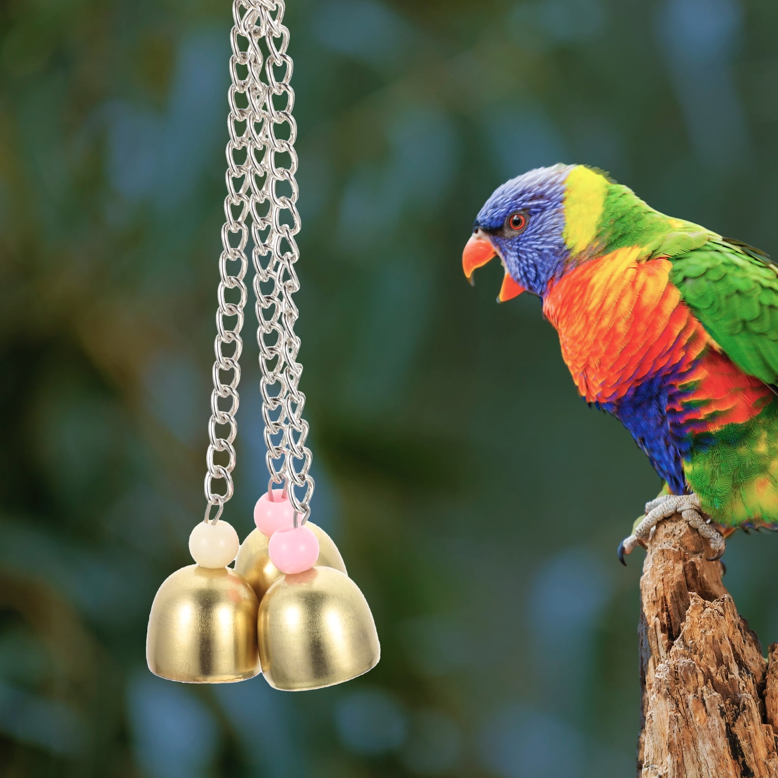 Rattle The Bell Parrot Toy for Large Birds - Stainless Steel Cage Decor for Parakeets, Cockatiels, and Small Tail Birds โ image 2