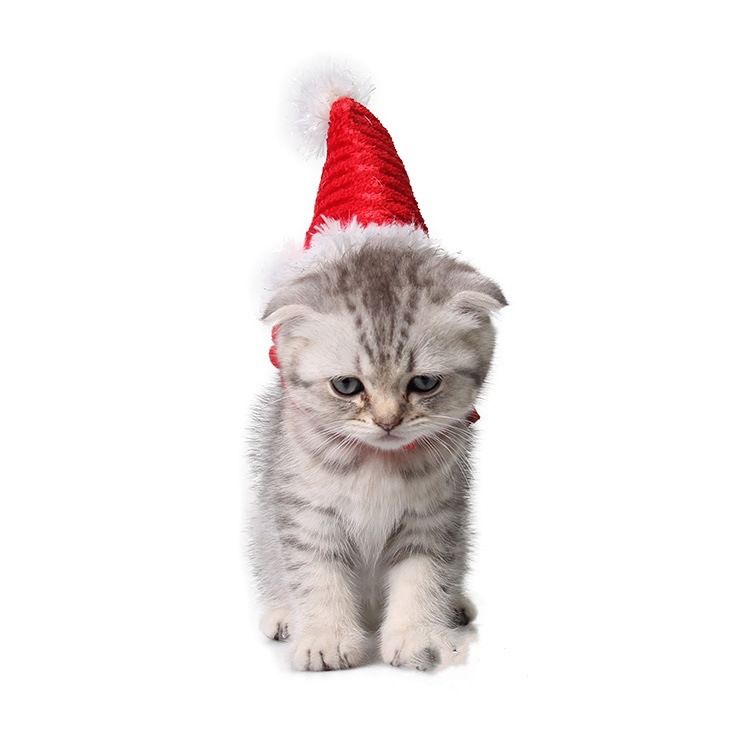 Hamster Hats Guinea Pig Costume Mini Santa Hat for Kitten Chinchilla Rabbit Bunny Hedgehog Squirrel Rats Duck Newborn Puppy โ image 3