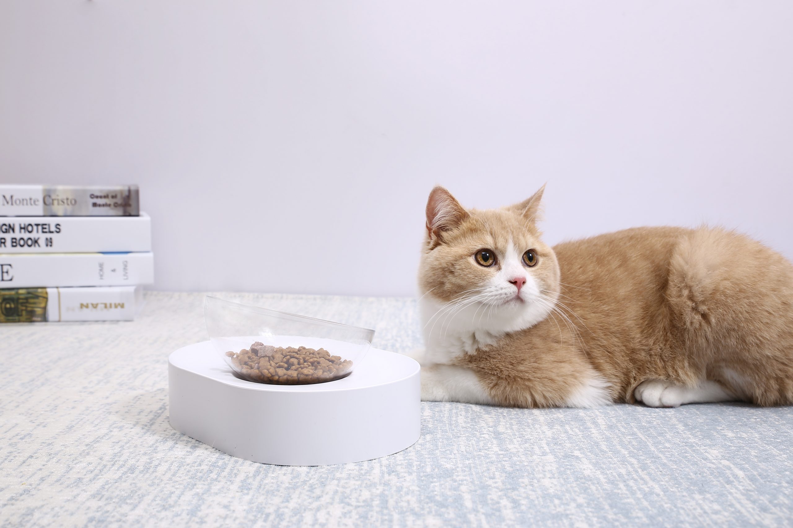 PETKIT Fresh Nano-15 Adjustable Cat Feeding Bowl -Single โ image 2