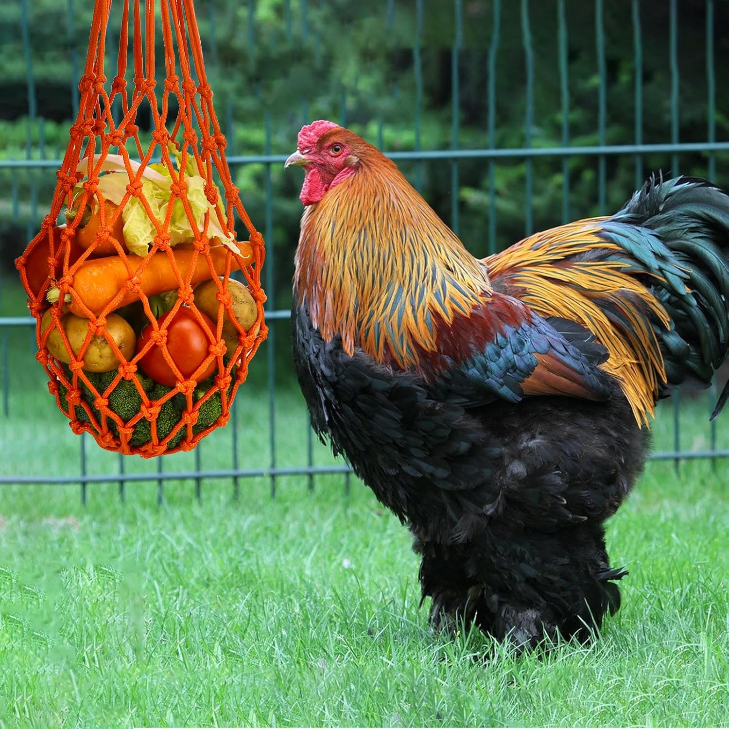 Feed bag - Feed net bag - Chicken, duck and goose feed net bag - Hanging - With carabiner - Feed tray for fruit and vegetables - 60 cm - 2 colours — image 5