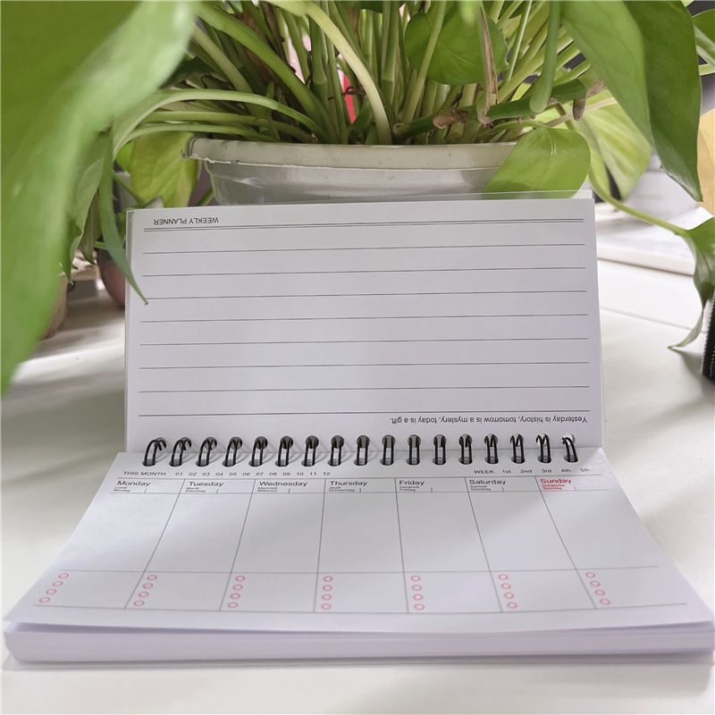 Weekly Planner - Wirebound Undated Weekly & Daily Scheduler Planner Weekly Day Plan Time Organizer Stuff Notebook Spiral Agenda β image 4
