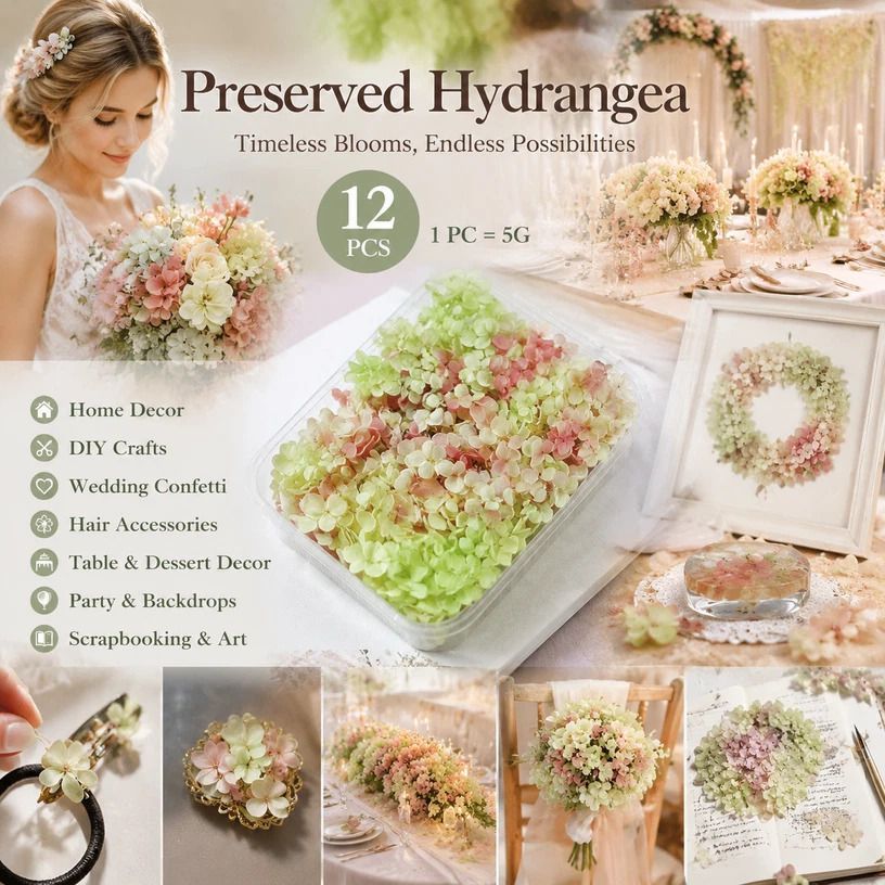 Warm Mixed Shade Preserved Hydrangea Craft Accessory Large Bulk Pack 12 Pack
