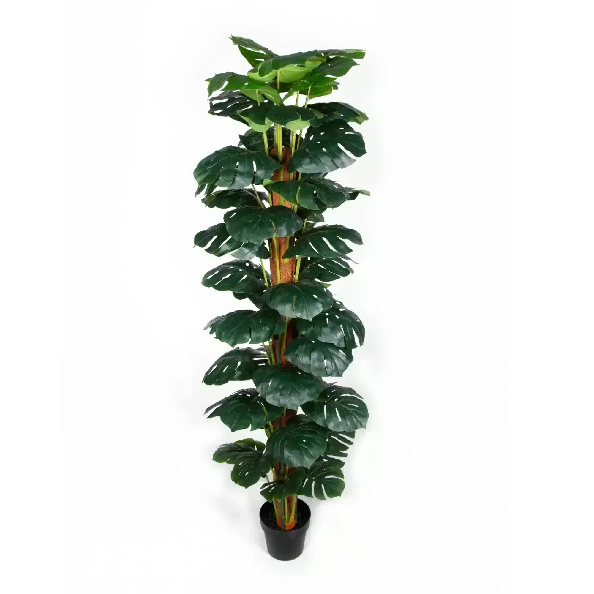 Artificial Monstera Adansonii Money Plant With Decorative Pot 180cm — image 2