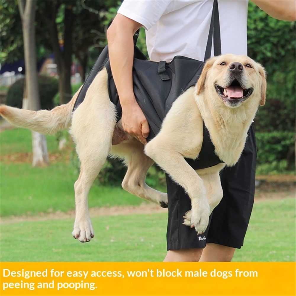 Full Body Lift Harness for Dogs,Canine Support Rehabilitation Dog Carrier Slings with Handles,Adjustable Lifting Straps Full Body Dog Lifting Harness (L) — image 2