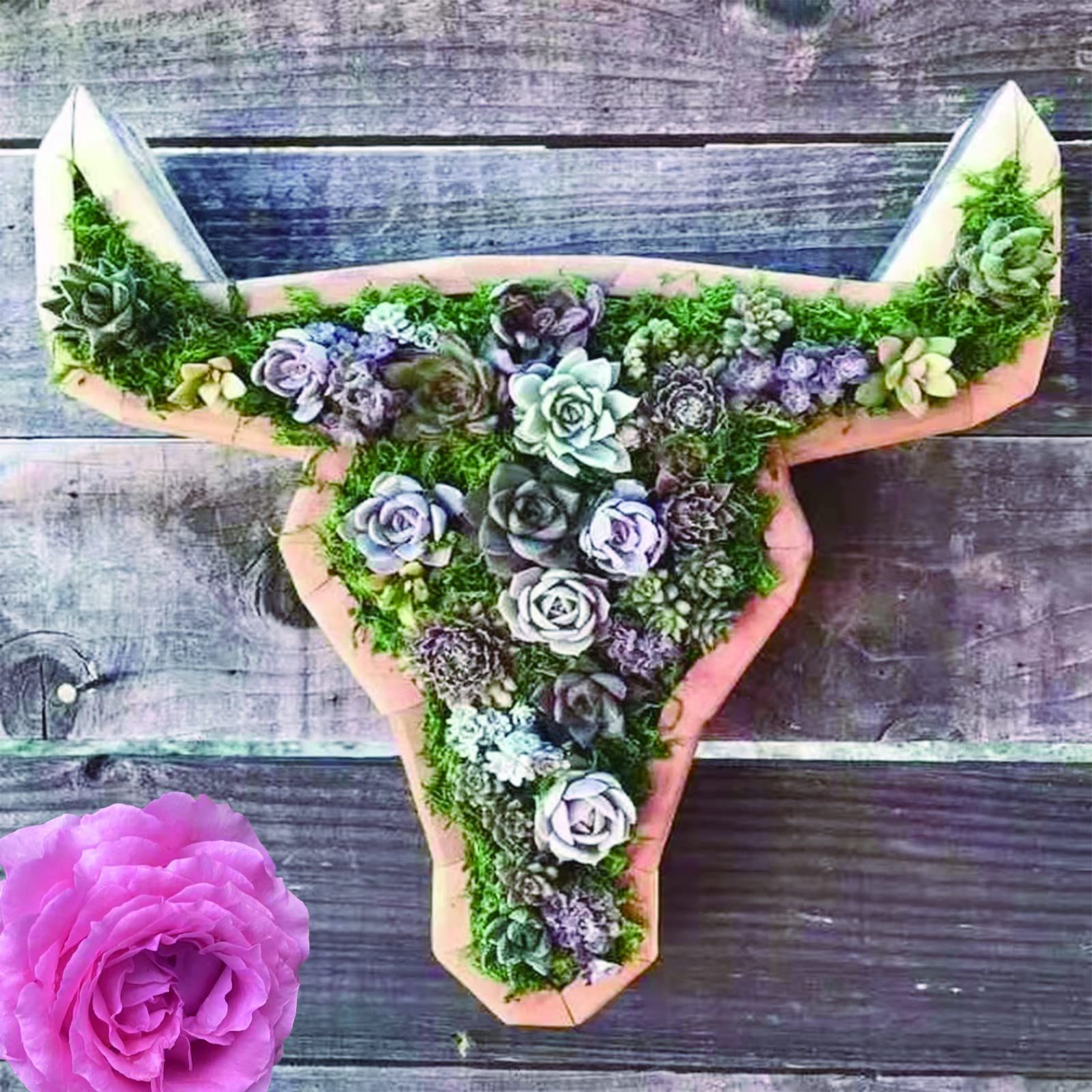 Small Succulent Wooden Plant Planting Flowerpot Garden,Indoor Plant Pots,Cute Cactus/Bonsai Small Flower Pots (Cow Shape) — image 5