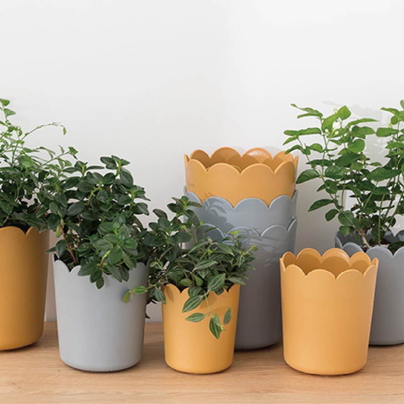 Flower Pots, Garden Supplies Promotion! Plastic Plant Pots for Plants With Saucers Indoor Set of 1 Plastic Planters Modern Flower Pot With Hole for All House — image 6