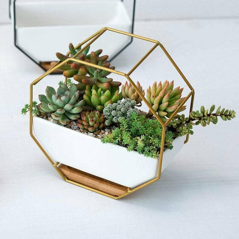 Flower Plant Pot Indoor Outdoor Garden Wall Hanging Succulent Planter Pot Vase A โ image 6
