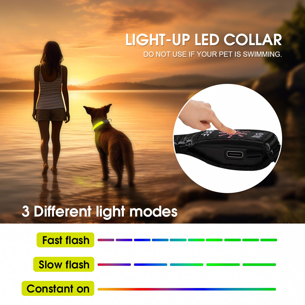 50cm Rechargeable Light-up LED Pet Collar — image 2