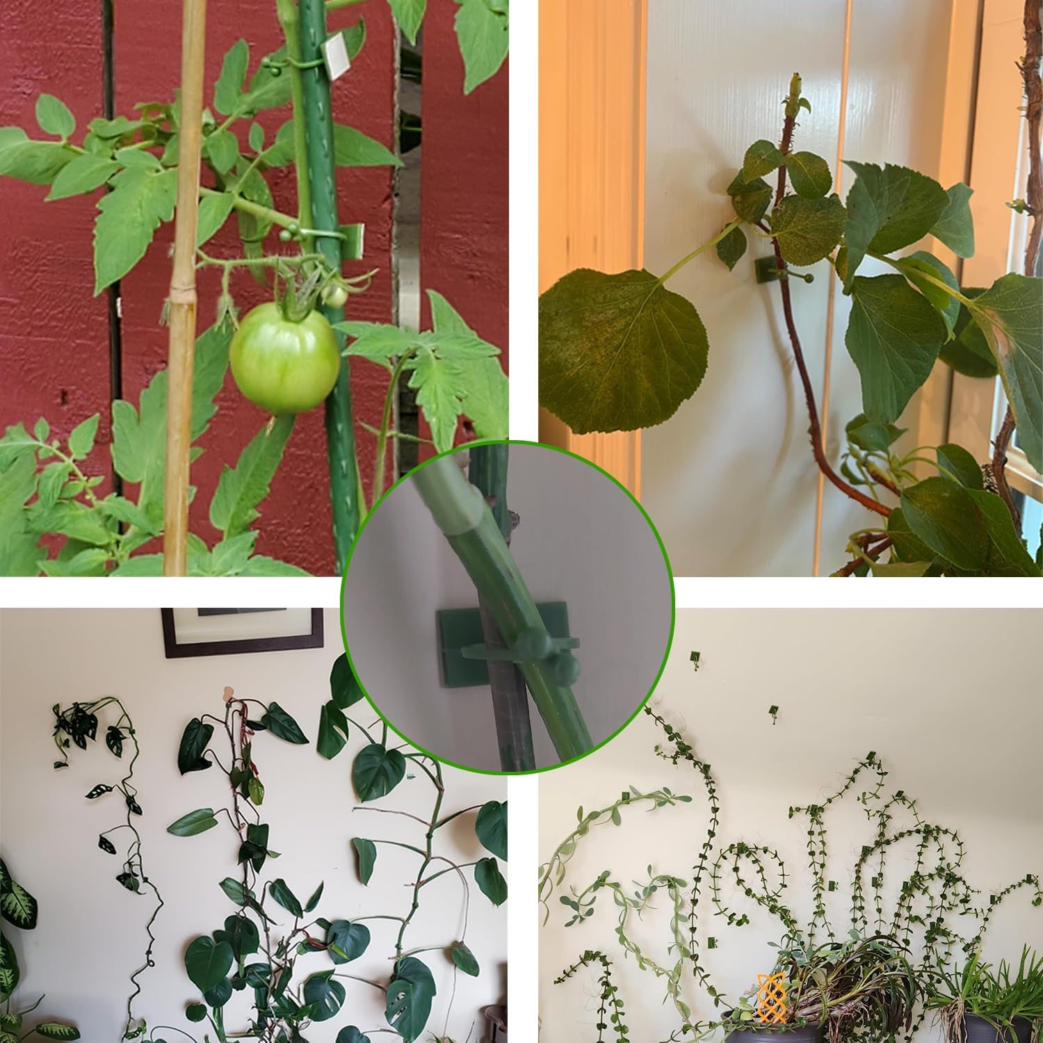 Green Plant Stem Supports for Indoor Use - Tall Plant Stakes for Monstera - Plant Anchoring Clips - 120 Pieces — image 6