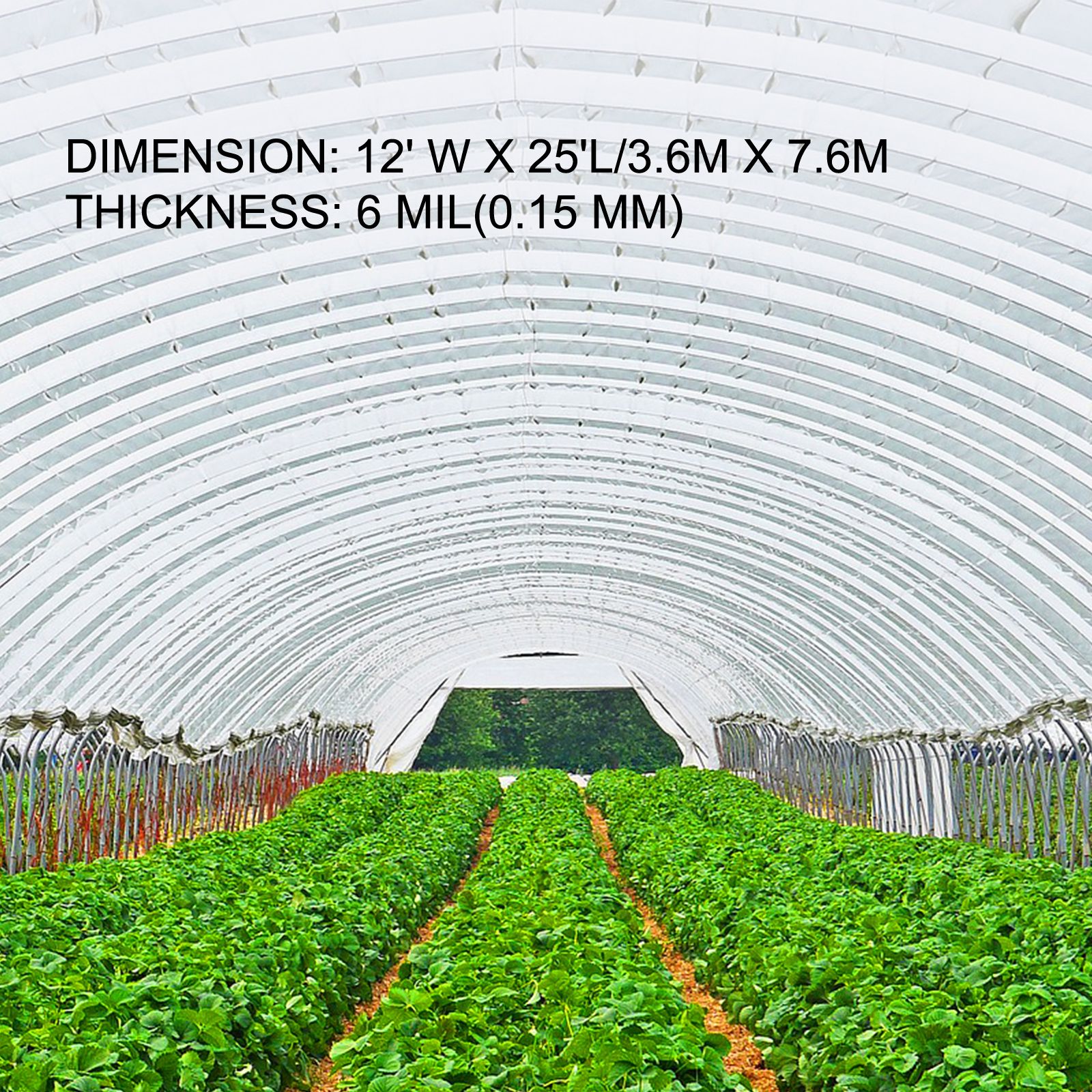 Greenhouse Film, Greenhouse Polyethylene Film 12x25 ft Greenhouse Plastic โ image 3