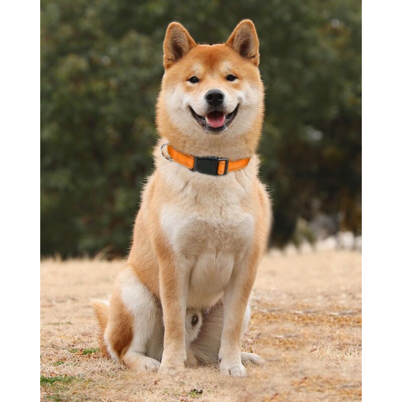 Dog Collar, Classic Adjustable Reflective Nylon Collar Suitable For Medium Dogs, Orange, 2.5Cm Width โ image 2