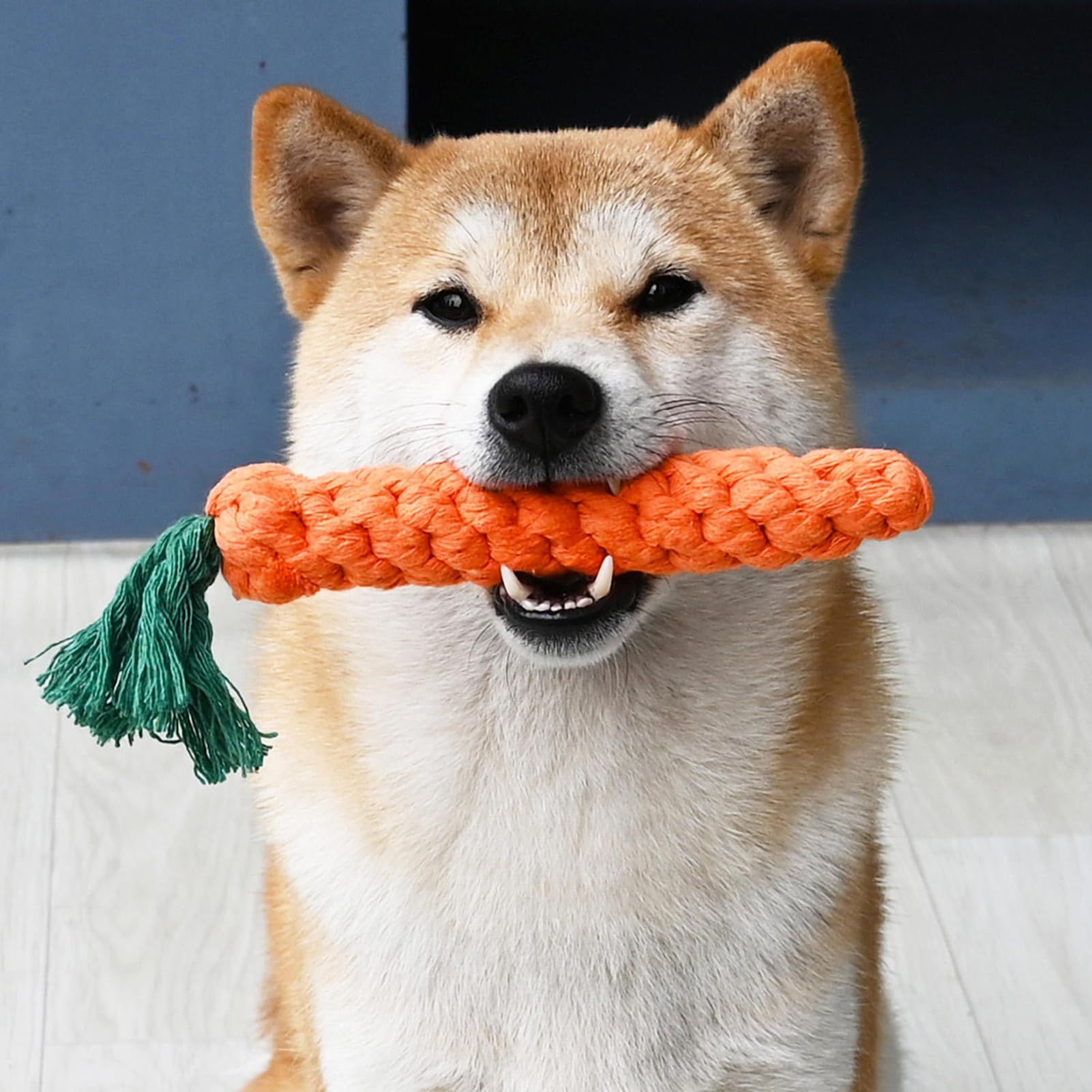 Dog Teeth Cleaning Toy Cotton Rope Carrot Shaped Pet Chewing Anti Bite Grinding Carrot Set Teeth Cleaning Anti Bite โ image 5