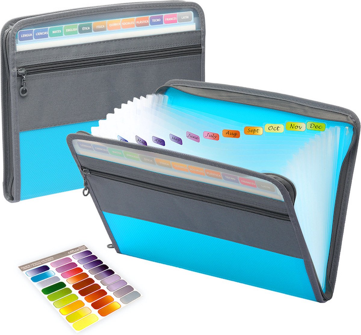 Project Folder - A4 - Foldable File Folder with Tabs - 13 Compartments - Storage Folder/Sorting Folder - Compartment Folder - Durable Plastic Document Folder