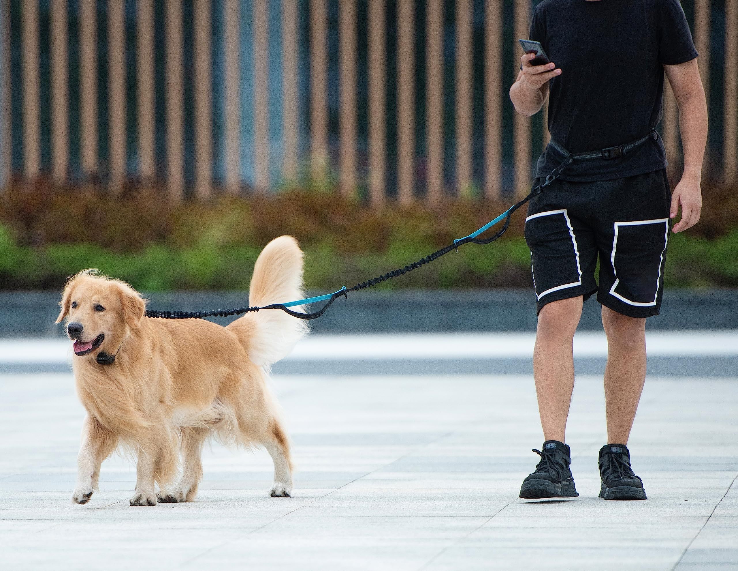 Hands-Free Dog Leash with Waist Belt and Storage Pouch, Shock-Absorbing Bungee Leash for Running, Walking, and Outdoor Adventures, Reflective Safety Design for — image 6