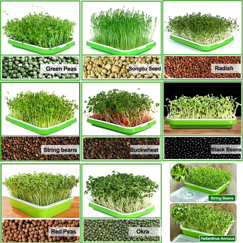 BPA Free Hydroponics Soilless Seeds Sprouter Microgreen Seed Sprouter Trays Seed Germination Double Tier Grow Trays with Lid 1PCS-Seed Sprouter Tray+Lid โ image 4
