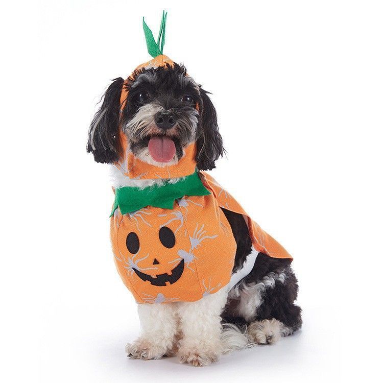 Fun Pet Holiday Wear, Decor Supplies For Halloween Christmas Themed Celebration Events, Size S