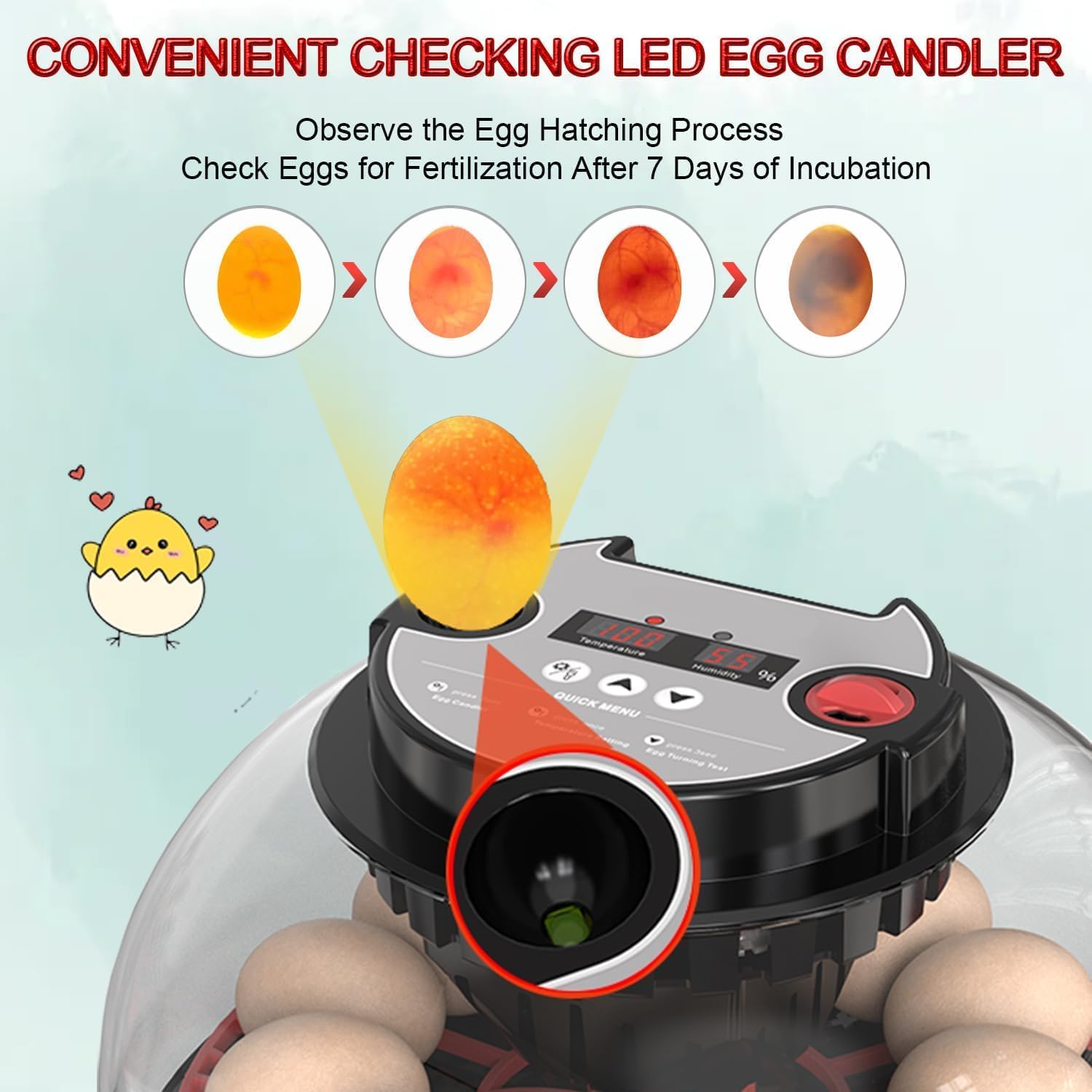 CARLA HOME 12 Egg Incubator with Automatic Turning, LED Display, Humidity & Temperature Control, Auto Water System & Built-in Egg Candler for Chicken, Duck — image 5