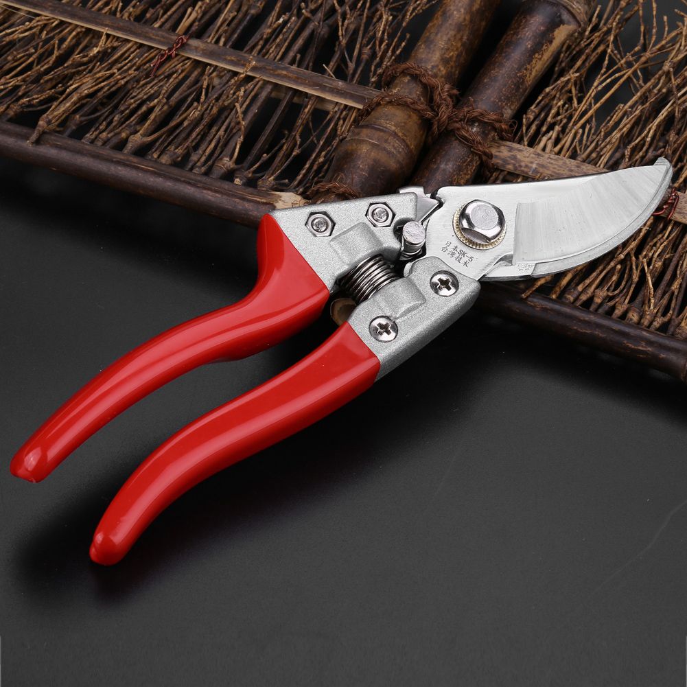 1Pc 8inch Fruit Tree Bonsai Gardening Pruning Shears Pruners Scissors Grafting Cutting Tools — image 3