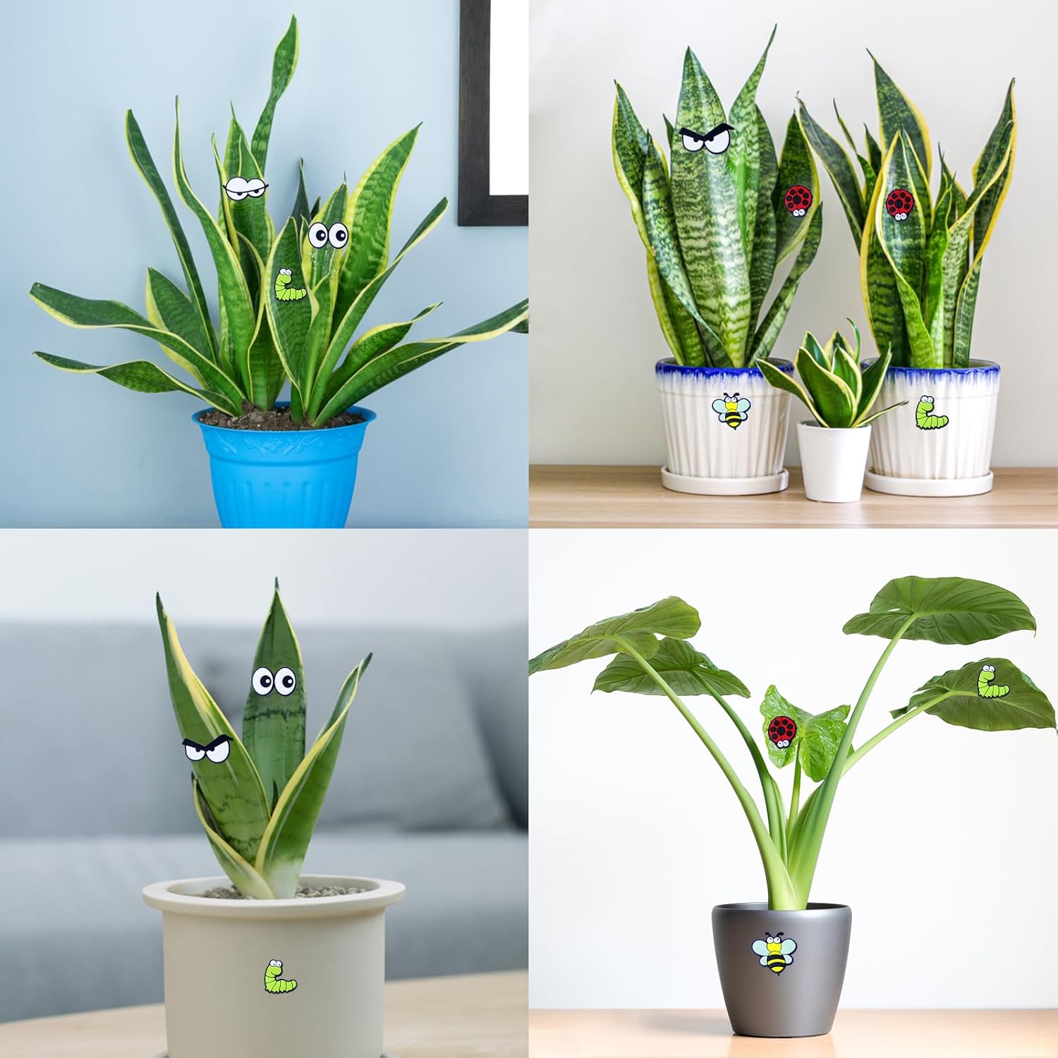 Cute Plant Magnets - Funny Cartoon Eyes, Unique Lover Gifts, Lightweight & Safe Halloween and Christmas Decoration, Indoor Accessories for Office - Give Your โ image 5